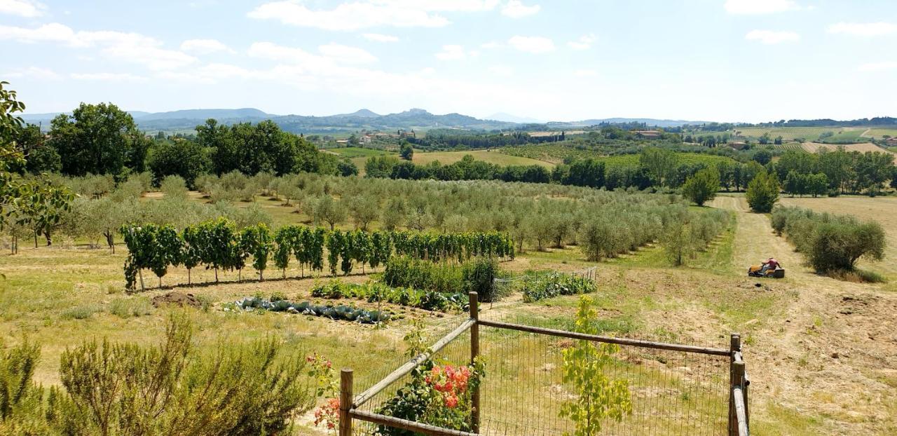 Вілла Casina Di Pacina Abbadia di Montepulciano Екстер'єр фото