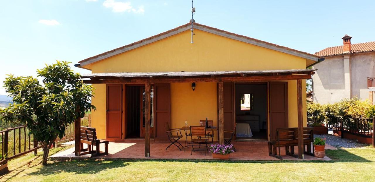Вілла Casina Di Pacina Abbadia di Montepulciano Екстер'єр фото
